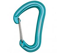 Moschettone Edelrid Nineteen G (icemint) Taille unique
