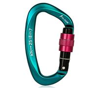 Moschettone, ganci per impieghi gravosi, 25KN Attrezzo da campeggio for arrampicata con chiusura a vite professionale, fibbia ad anello a D for impieghi gravosi