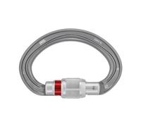 Moschettone petzl omni screw lock grigio