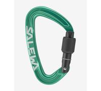 Salewa - Ortles Screw Carabiner - Moschettoni a ghiera variopinto