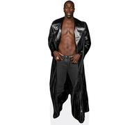 Moses Sumney (Coat) mini formato