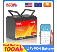 MOSEWORTH 12V 100Ah LiFePo4 Batteria incorporata 100A BMS Batteria al litio ferro fosfato Batteria ricaricabile per barca solare