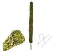 Moss Pole For Plant Monstera - Pole Sticks For Plant Support Monstera,Self-Watering Plants Stakes, Sphagnum Moss Rod, Bendable Climbing Support Poles Plants Growth Indoor Outdoor Gardening Ho