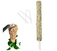 Moss Pole For Plant Monstera - Pole Sticks For Plant Support Monstera,Self-Watering Plants Stakes, Sphagnum Moss Rod, Bendable Climbing Support Poles Plants Growth Indoor Outdoor Gardening Ho