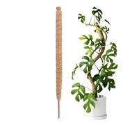 Moss Pole for Plants - coconuts Coir Climbing Poles for Vines | Bendable Reusable Moss Stick for Creepers, Garden Plants, Indoor or Outdoor Courtyard, Supports Vertical Growth