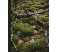 Moss & Stone Journal: Minimalist Scandinavian Notebook with Earthy Forest Floor Design