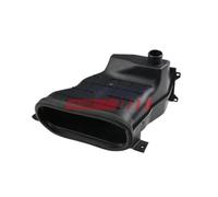 Mostrina Griglia Radiatore Fast FT93801 per Fiat Citroën