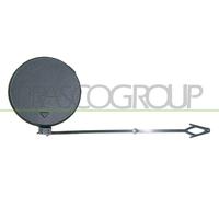 PRASCO Mascherina Paraurti Anteriore Sinistra Adatta Per BMW X5 E70 BM8221238