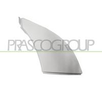 Mostrina, Paraurti FT9302106 PRASCO per FIAT