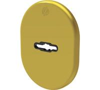 MOSTRINA PORTA BLINDATA 4301 SECUREMME - DM OTTONE LUCIDO MM 82X62- 5 pezzi