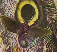 The Mothmen Pay Attention (CD) Album