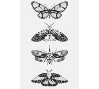 Moths and Butterflies Lined Diary | 365 pages for daily entries
