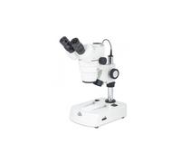 Motic Microscopio stereo zoom SMZ-143 N2LED, trino, LED, 10-40x, 4:1