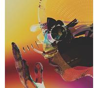 Motion Graphics - Motion Graphics