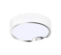 Motion Sensor Ceiling Lights Battery Powered Indoor / Outdoor Led Ceiling Lights for Corridor Laund