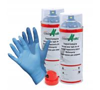 MOTIP SPRAY PER TAPPETI E MOQUETTE NERO 2x400 ml + ACCESSORI