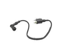 Moto Bobina Accensione Statore Per Kymco Per Agility 125 150 R16 50 R10 R12 R16 Dink 50 Dink Like 125 Maxxer 90 Per SYM Per Symphony 125 150 Bobina Accensione Moto