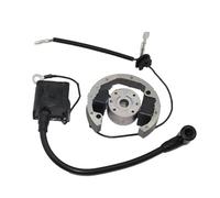 Moto Bobina Di Accensione Statore Volano Kit Magneto Ricambio Per 50 SX 50cc Pro Senior Junior SR JR 2001-2013 Statore Magnete Piastra Bobina