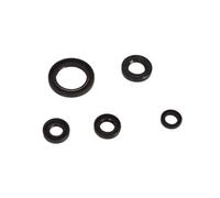 Moto cg 150cc 200cc 250cc 50cc paraolio motore 110cc 125cc 70cc 90cc dirt pit bike(Cg engine oil seal)