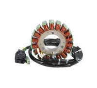 Moto Generatore Statore Bobina Per SYM ATV Quad Raider 600 UA60A-6 UA60A1-6 Deluxe UA60A2-6 L0 2010 AEG-31120-REA-000 parti