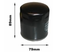 Moto Guzzi V11 Le Mans Filtro dell'olio 2001-2010