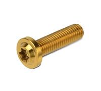 Moto M8x25 M8x30 M8x40 M8x50 Torx Vite A Testa Di Fissaggio Bullone Ti Lega Morsetto Forcella Bulloni Freno A Disco Rotore Viti