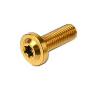 Moto M8x25 M8x30 M8x40 M8x50 Torx Vite A Testa Di Fissaggio Bullone Ti Lega Morsetto Forcella Bulloni Freno A Disco Rotore Viti