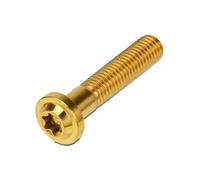 Moto M8x25 M8x30 M8x40 M8x50 Torx Vite A Testa Di Fissaggio Bullone Ti Lega Morsetto Forcella Bulloni Freno A Disco Rotore Viti