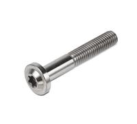 Moto M8x25 M8x30 M8x40 M8x50 Torx Vite A Testa Di Fissaggio Bullone Ti Lega Morsetto Forcella Bulloni Freno A Disco Rotore Viti