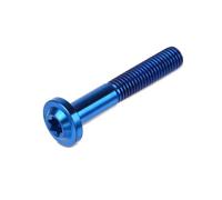 Moto M8x25 M8x30 M8x40 M8x50 Torx Vite A Testa Di Fissaggio Bullone Ti Lega Morsetto Forcella Bulloni Freno A Disco Rotore Viti
