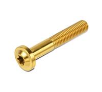 Moto M8x25 M8x30 M8x40 M8x50 Torx Vite A Testa Di Fissaggio Bullone Ti Lega Morsetto Forcella Bulloni Freno A Disco Rotore Viti