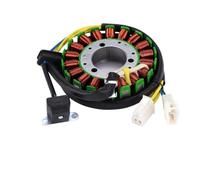 Moto Magneto Generatore Statore Bobina Compatibile Con Hyosung GT650R GT650 GT 650 65R ST7 GV650 Carb GT650X Motore Generatore di Ricarica