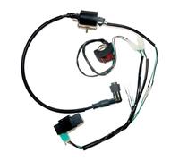 Moto Magneto Statore Bobina Per 50cc 70cc 110cc 125cc 140cc Dirt Bike Completo Kick Start Motore Cablaggio CDI Bobina Di Accensione Kill Switch