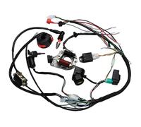 Moto Magneto Statore Bobina Per Moto Magneto Statore Bobina Moto Statore Bobina 1Set Completo Completo Impianto Elettrico Cablaggio Spark Solenoide Relè Statore