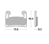 413506 BRAKE PAD CARBON RACING BMW R 1250 GS ABS ADVENTURE EXCLUSIV 2020