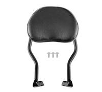 Moto schienale Supporto per cuscino per sedile passeggero per Sidecar GP250 2023- Accessori per montaggio di supporto per cuscino per schienale posteriore per moto