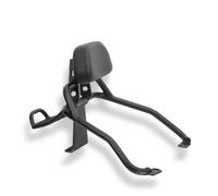 Moto Sissy Bar Portabagagli Adatto per Longjia Victoria 300i/150si/250, schienale posteriore e modifica della vita, cuscino posteriore, staffa del ripiano posteriore Cuscino Schienale Moto(1)