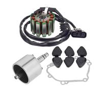 Moto Statore Bobina Generatore Volano Rotore Guarnizione Di Tenuta Per YZF-R1 04-08 FZ8 FZ8N FZ8S 2011 2012 2013 FZ1-N FZ1-S FZ1 2006-2015 Statore Magnete Piastra Bobina