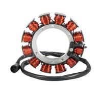 Moto Statore Bobina Magnete Bobina Statore Generatore Accensione per Motocicletta per Blast 500 S1 S2 S2T S3 S3T per M2 per X1 per LOW per Cyclone per White
