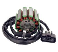 Moto Statore Bobina Per YZF-R1 2004-2008 Per FZ8 FZ8N FZ8S 2011-2013 Guarnizione rotore volano generatore moto Statore accensione Bobina magnete(Stator Coil)