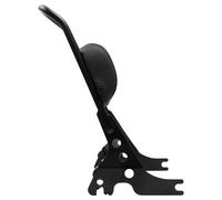 Moto Supporto Bauletto Per 50th Anniversary Per Sportster XL50 2007, Supporto Per Portapacchi Per Moto, Schienale Staccabile Per Moto, Cuscino Verticale Per Sissy Bar