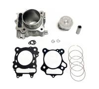 Moto Testata Del Cilindro Compatibile Con Forza 350 2019 2020 2021 2022 77MM 329CC Kit Guarnizioni Pistone Cilindro Blocco Cilindro Aria Fasce Elastiche Guarnizione Base Testa