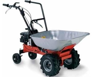 MOTOCARRIOLA A SCOPPIO 123 CC CARRY 450-RATO