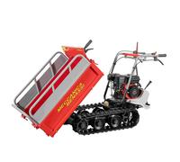 Motocarriola Benassi MB 3500