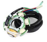 Motocicletta bobina di accensione Compatibile Con Per Exciter135 Per Exciter270 1998 1999; Per Ls2000 1999 2000 2001 2002 2003; Bobina Statore Generatore Magneto 65U-85510-00