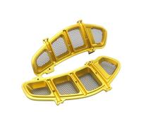 Motocicletta Griglia Copriradiatore Griglia di protezione del radiatore per motocicletta, copri cornice per GTS300, GTS250, GTS 250, 300, 2013-2020, 2019, 2018, 2017, 2016, 2015