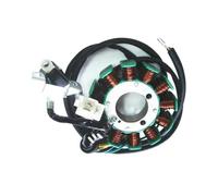 Motocicletta Statore Bobina Kit Rotore Interno Per Moto E Scooter Statore Accensione Bobina Magnete Per CG125 125cc CG 125 A 12 Poli