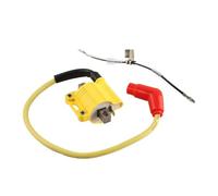 Motociclo Bobina Accensione Scatola CDI 4 Pin DC CDI per 50cc 70cc 90cc 110cc 125cc Scooter ATV Dirt Bike Go Kart Motociclo Accensione CDI Box con 1 Filo CDI Box