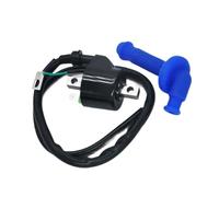 Motociclo Bobina Accensione Scatola CDI Bobina Di Accensione E Scintilla Per TRX450ER TRX450R 2006-2014 30500-HP1-003 Scatola Modulo Accenditore CDI Per Motocicletta