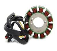 Motociclo Bobina Statore Per Yam&aha WR250F 2004-2009/2011 2012 2013 2014 5UM-81410-09-00 5UM-81410-31-00 Parti Del Motociclo Magneto Statore Bobina Di Avviamento